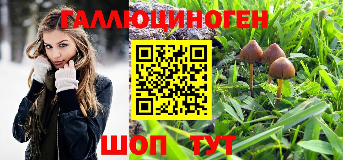Псилоцибиновые грибы ЛСД Красногорск