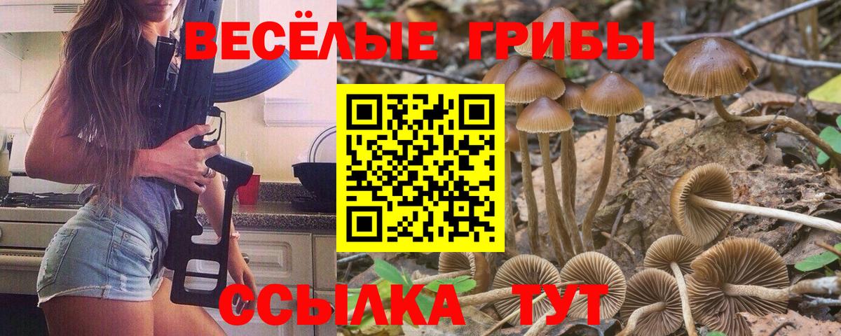 Галлюциногенные грибы GOLDEN TEACHER  Вход с VPN  Галлюциногенные грибы прущие грибы  Красногорск 